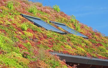 Sharps Corner living roof systems