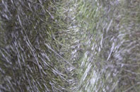 Sharps Corner fibreglass roof work